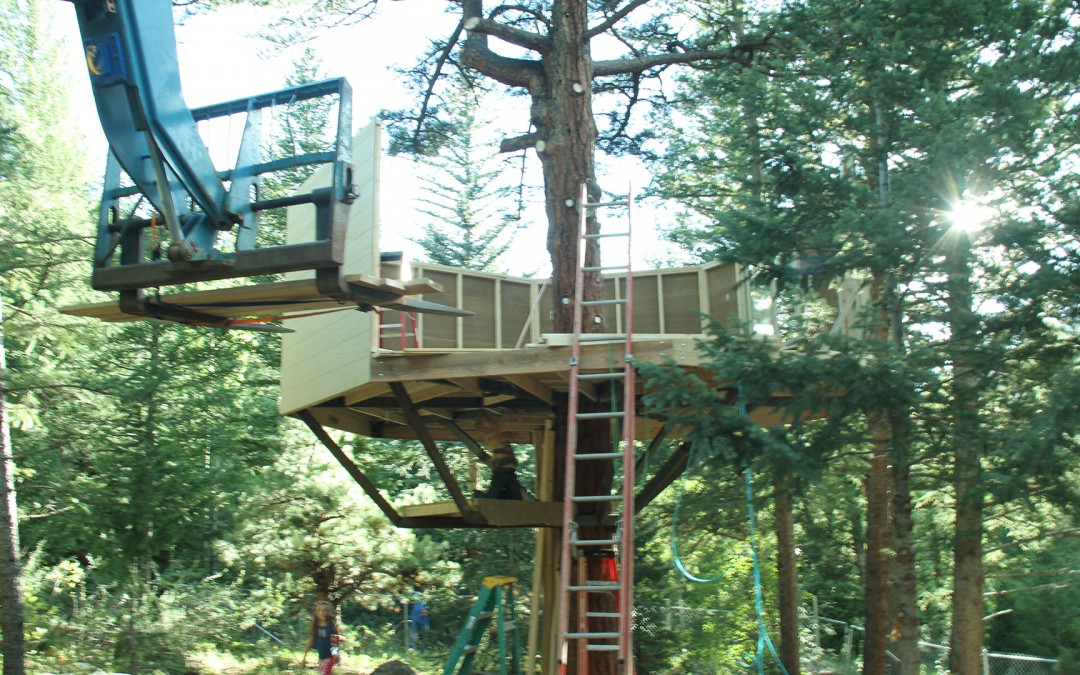 Custom Treehouses